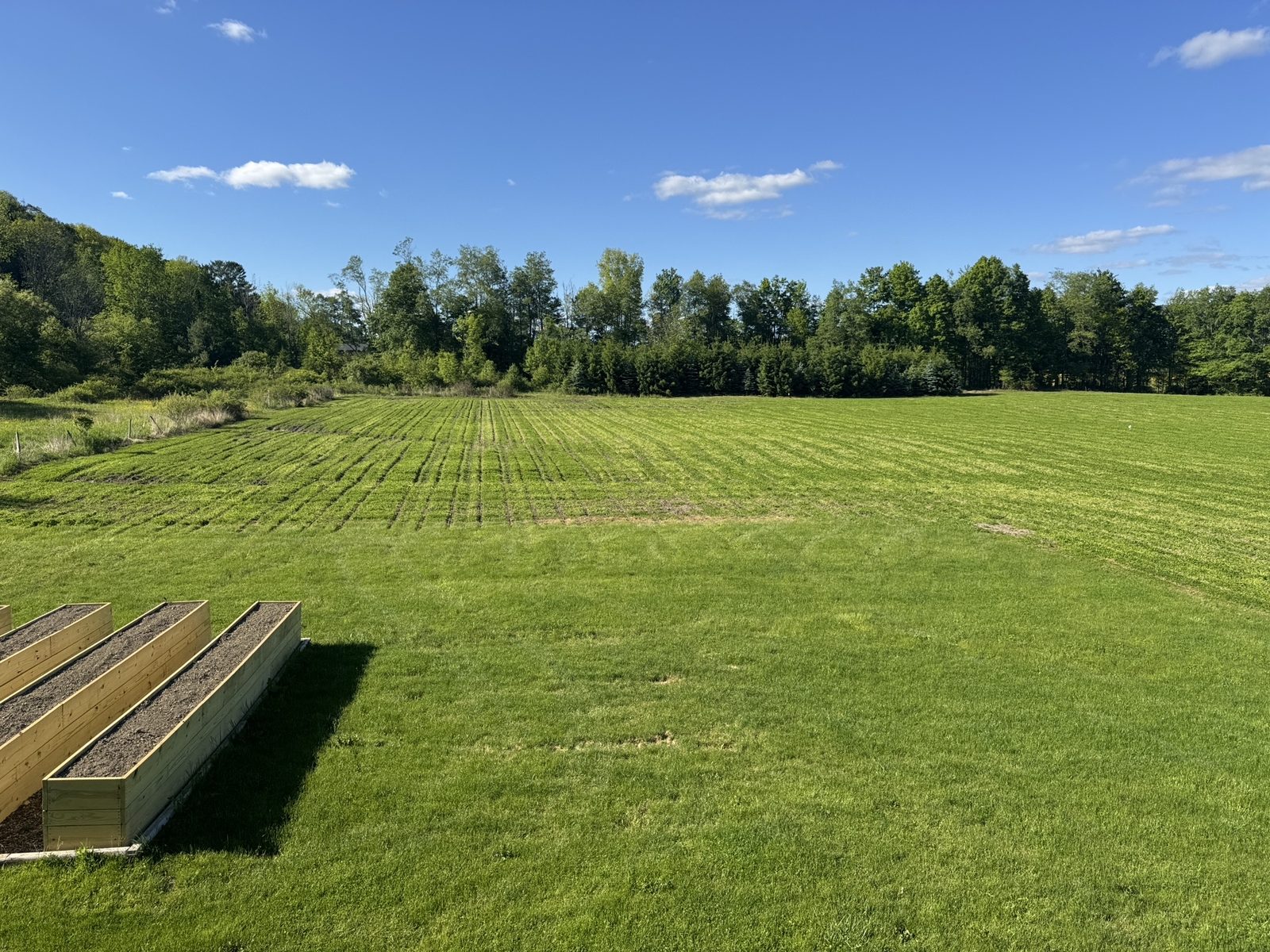 Green no-till fields with drill rows and raised garden beds at Tompkins Farm in Randolph, New York