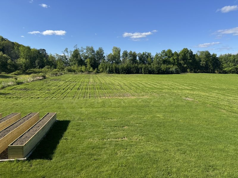 No-till field with seed-drill rows and raised garden beds