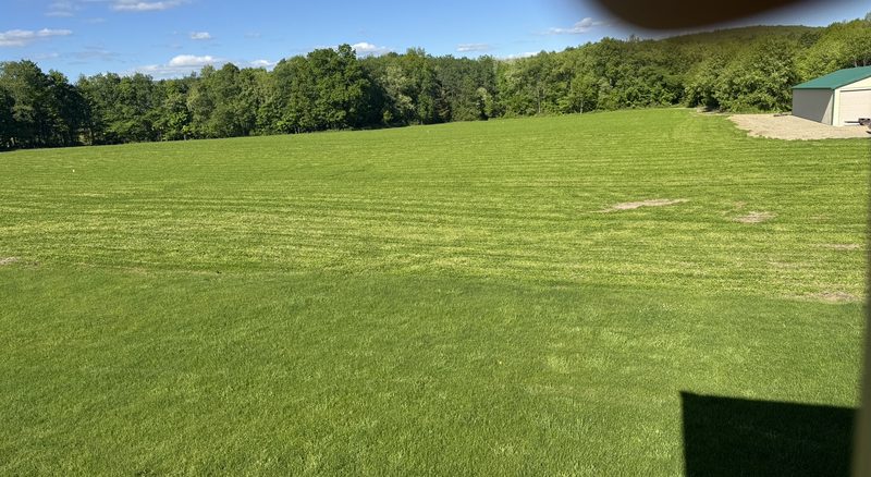 Field running to the tree line