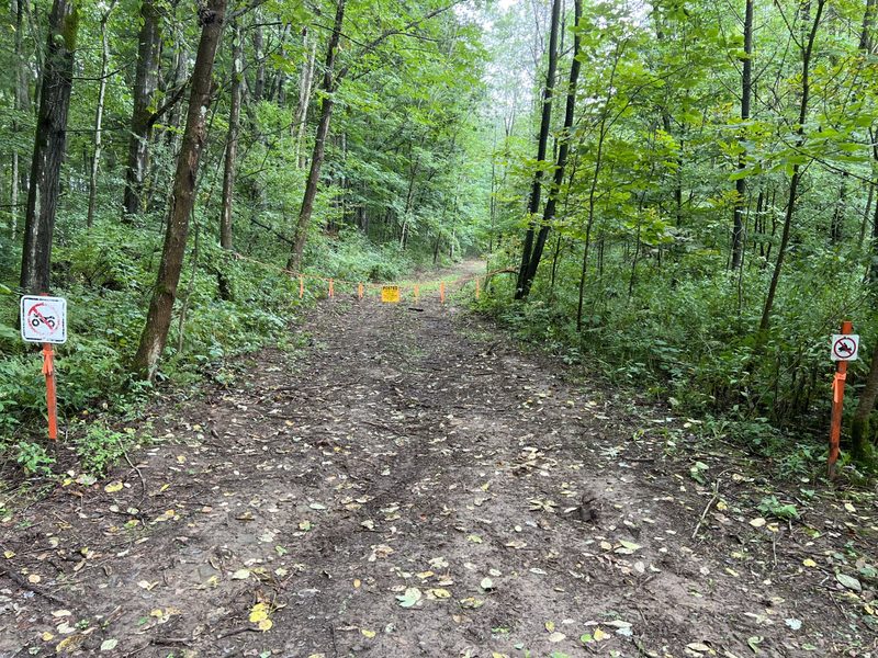 A grassy lane through the woods at Tompkins Farm